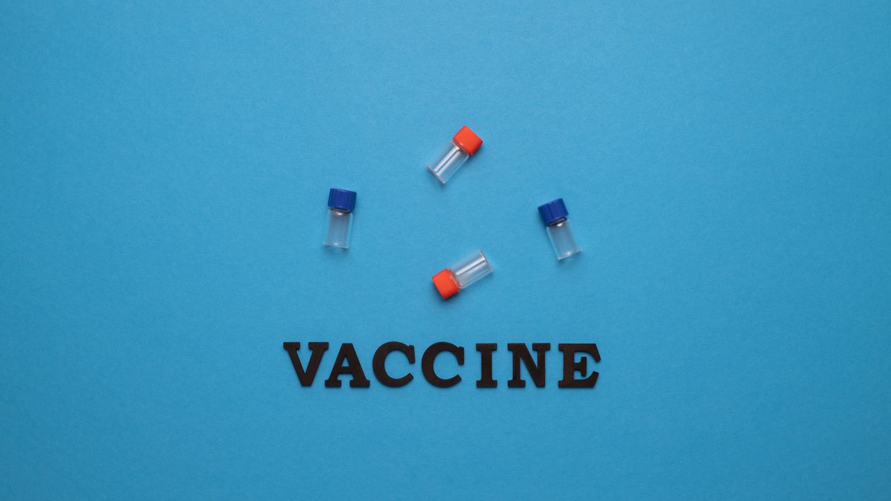 Organisatie-activatie-theorie: hoe puberteitshormonen het brein blijvend vormen